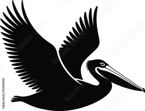 Black pelican flying vector silhouette bird wings