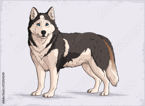 Hand drawn Siberian Husky standing proudly in full length, with thick fur, striking details, and a stylish pose on a light background.