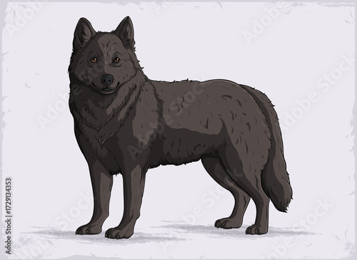 Hand drawn Black Wolf standing proudly with thick fur, piercing eyes and a strong majestic pose, Highly social apex predator. Canine native large dog. Wild hunter animal