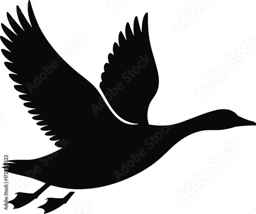 Black duck flying silhouette bird
