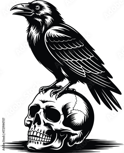 Black raven perched on skull crow bird