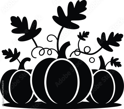 Black pumpkins with leaves and vines gourds autumn
