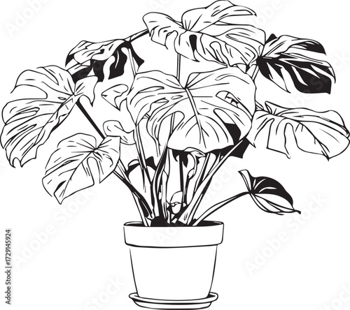 monstera plant in a pot, vector line drawing logo clipart in monochrome on a white background, with no shading