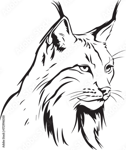 simple line art vector of a lynx, simple design, white background, logo style, no color, clear lines, vector graphics, vector icon, vector illustration