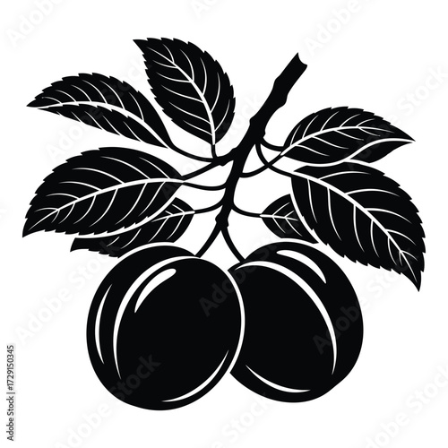 Black and white linocut style plums on a branch with detailed leaves silhouette
