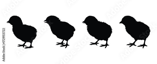 Four silhouettes of young chicks standing side by side against a white background