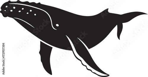 Humpback whale silhouette on white background, Whale black silhouette marine illustration