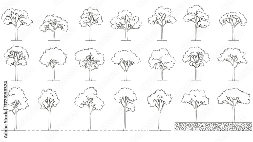 Architectural Tree Elevation Set – Landscape Drawing, Section, Outline, Vector Trees, Plan Illustration