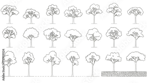 Architectural Tree Elevation Set – Landscape Drawing, Section, Outline, Vector Trees, Plan Illustration