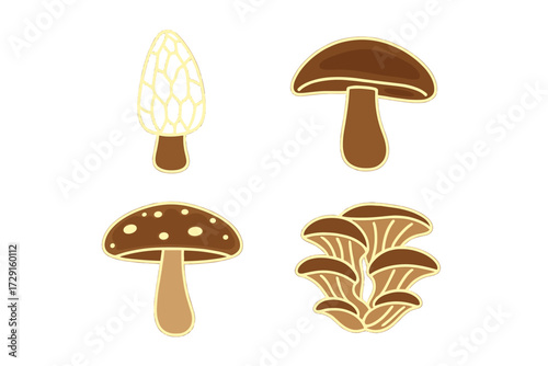 Diverse collection of stylized edible and wild mushrooms and fungi for culinary, nature, and organic themes