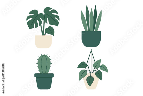Set of diverse potted green house plants including monstera, snake plant, cactus, and a hanging plant for home decor