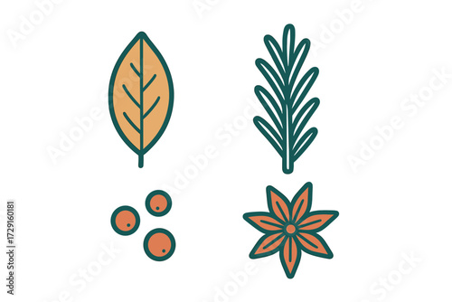 Assortment of culinary herbs and spices featuring bay leaf rosemary berries and star anise for cooking and seasoning