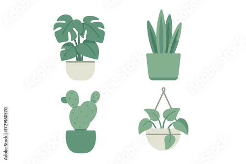 Modern collection of popular green potted houseplants including monstera, snake plant, cactus, and hanging plant varieties