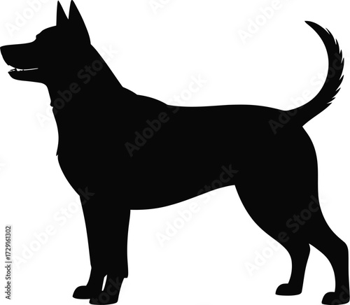 Black dog silhouette standing alert vector