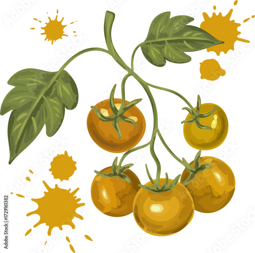 hand drawn watercolor style yellow tomato elements set with abstract paint blots and green leaves isolated on white organic produce vector illustration