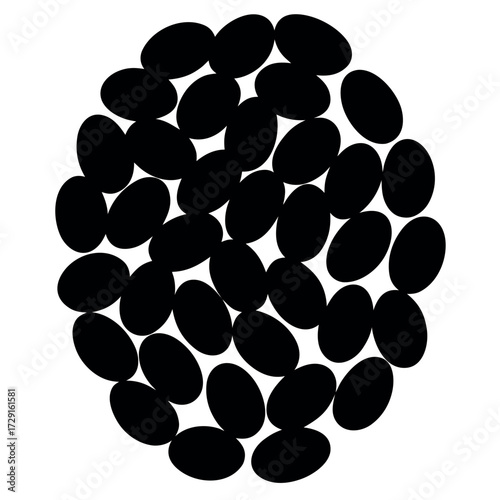 black gram silhouette vector on white background.eps