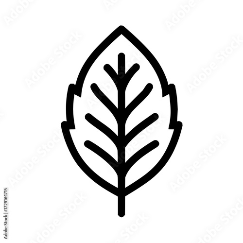 A simple black outline of a leaf with prominent veins displayed against a white background image here