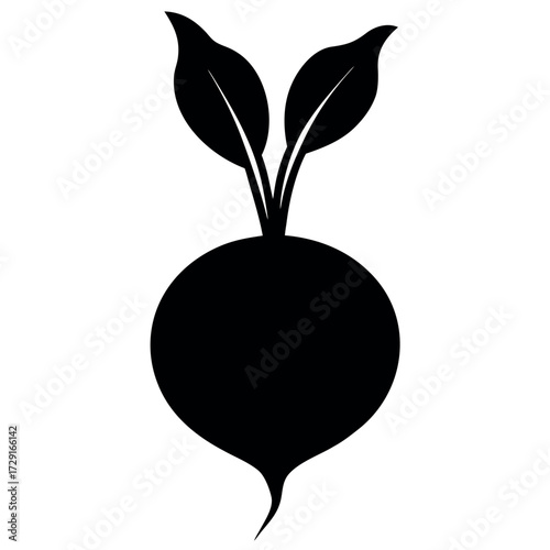 radish silhouette vector on white background.eps