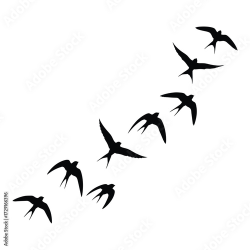 Elegant flock of swallows silhouettes in flight composition flying group wildlife silhouette