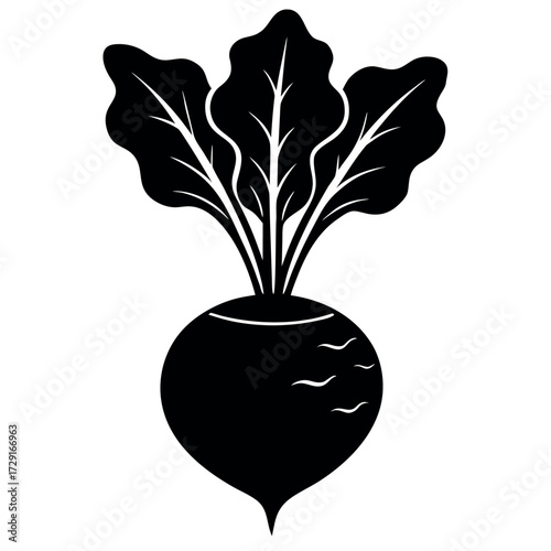 Black and White Beetroot Illustration for Health, Wellness, and Freshness