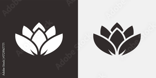 Duality of lotus flower symbolism