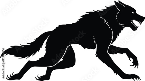 Vector illustration of werewolf silhouette in prowling stance with claws, sharp teeth, wild fur, scary monster creature for horror Halloween design