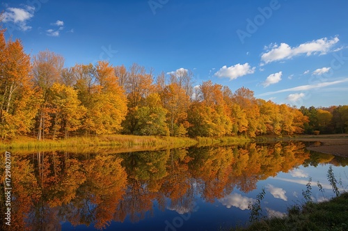 Reflection of fall foliage in a body of water