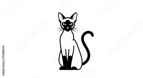 Elegant Siamese cat sitting alertly with striking blue eyes