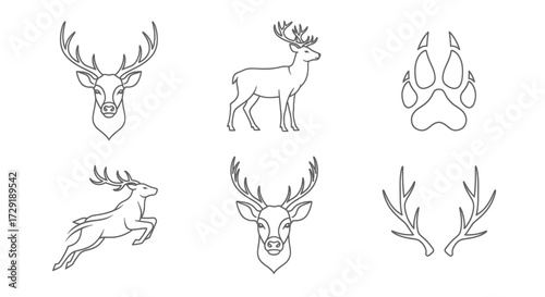 Elegant line art illustrations of deer, antlers, and paw print for nature themes