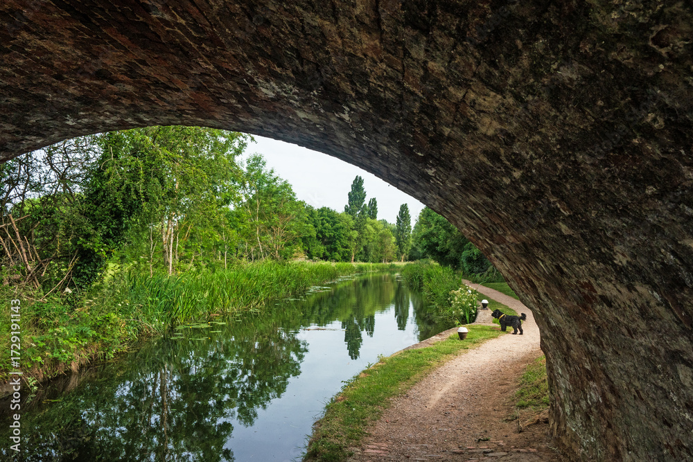 Fototapeta premium bridge over the river