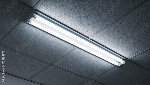 Double Fluorescent Light Fixture on Suspended Ceiling