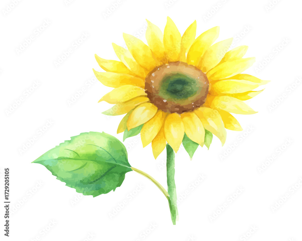 Obraz premium Watercolor Yellow Sunflower with Green Leaves Hand Painted vector illustration isolated on white background