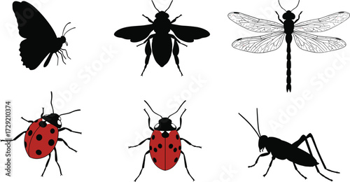 Insect silhouettes set, butterfly, bee, dragonfly, ladybug, grasshopper, entomology icons, bug vector, nature wildlife, insect illustration design