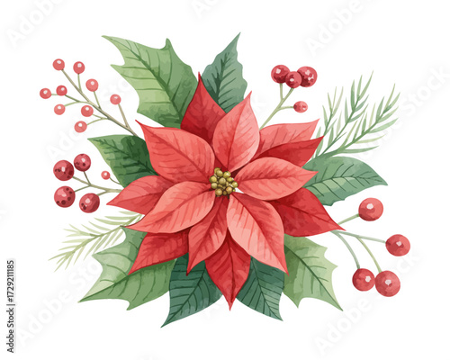 Watercolor Winter Poinsettia Christmas Flower with Red Berries Isolated on White background