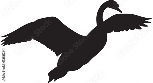Elegant swan soars with outstretched wings black silhouette on white background