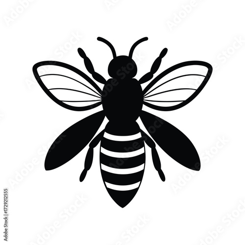 Black and White Bee Illustration with Stripes and Wings