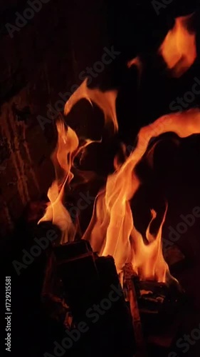 a red bonfire burning from firewood
