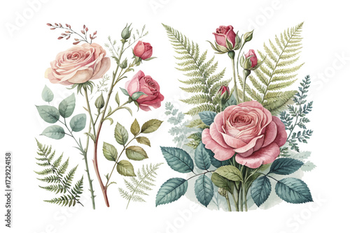 Watercolor Vintage Floral Illustration with Roses and Fern isolated on white background