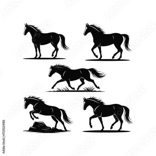 Horse Silhouette Vector Set – Black and White Running, Walking and Galloping Horses Illustration