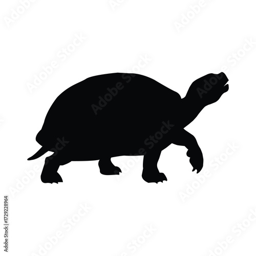 Silhouette of a turtle walking isolated on white background, showcasing the slow and steady nature of this reptile