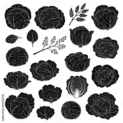 A collection of diverse leafy greens and herbs.