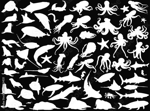 marine animals and fishes outlines large set isolated on black