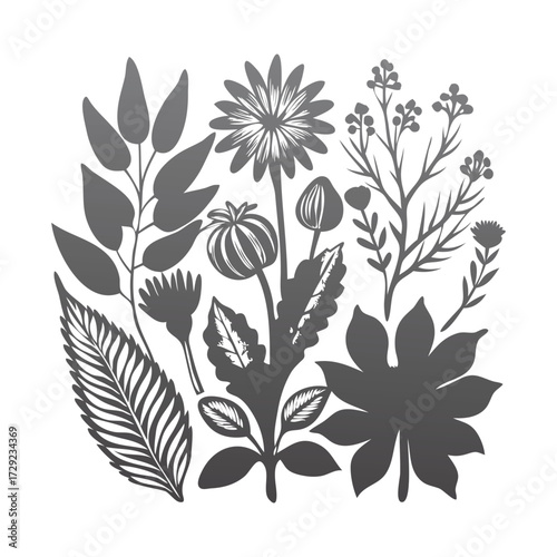 Botanical Line Art Floral Illustration