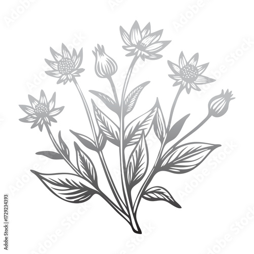 Botanical Line Art Floral Illustration