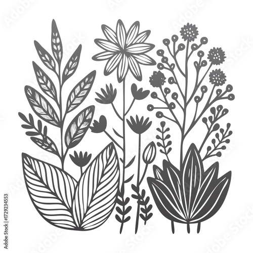 Botanical Line Art Floral Illustration