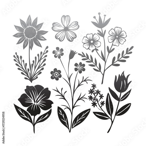Botanical Line Art Floral Illustration