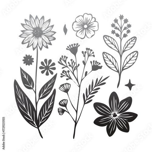 Botanical Line Art Floral Illustration