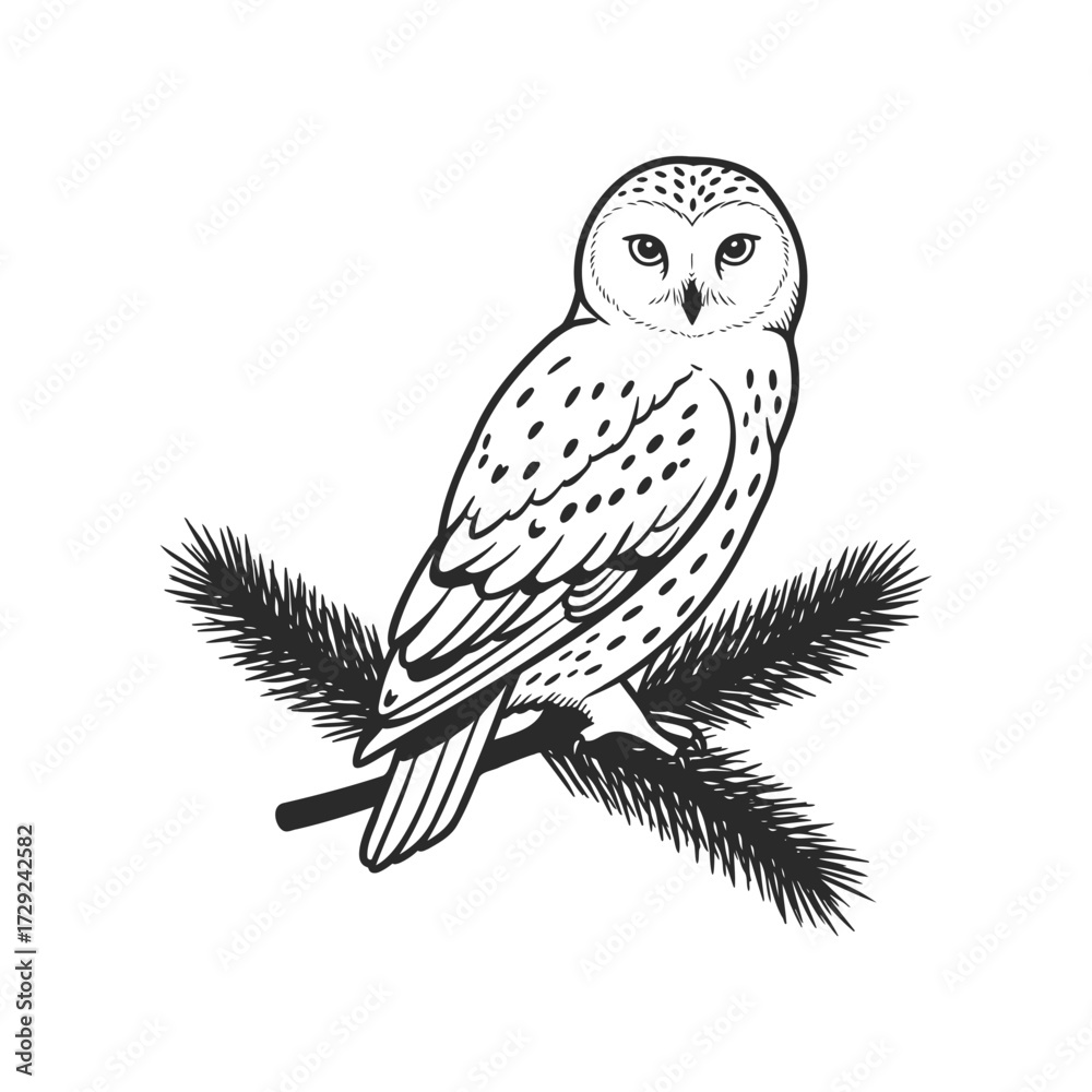 Fototapeta premium Vintage black and white illustration of owl on branch in minimalist style