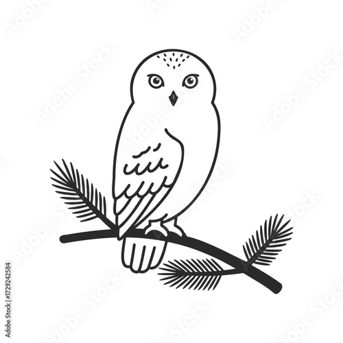 Black and white owl illustration on branch with pine needles