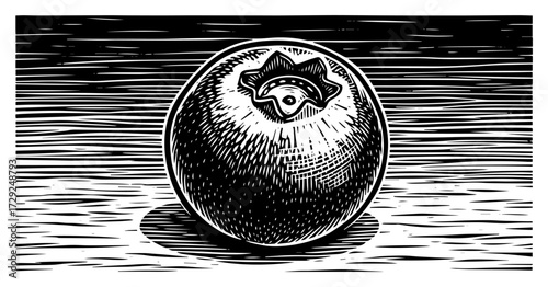 Engraved Blueberry Vector Illustration in a Vintage Style